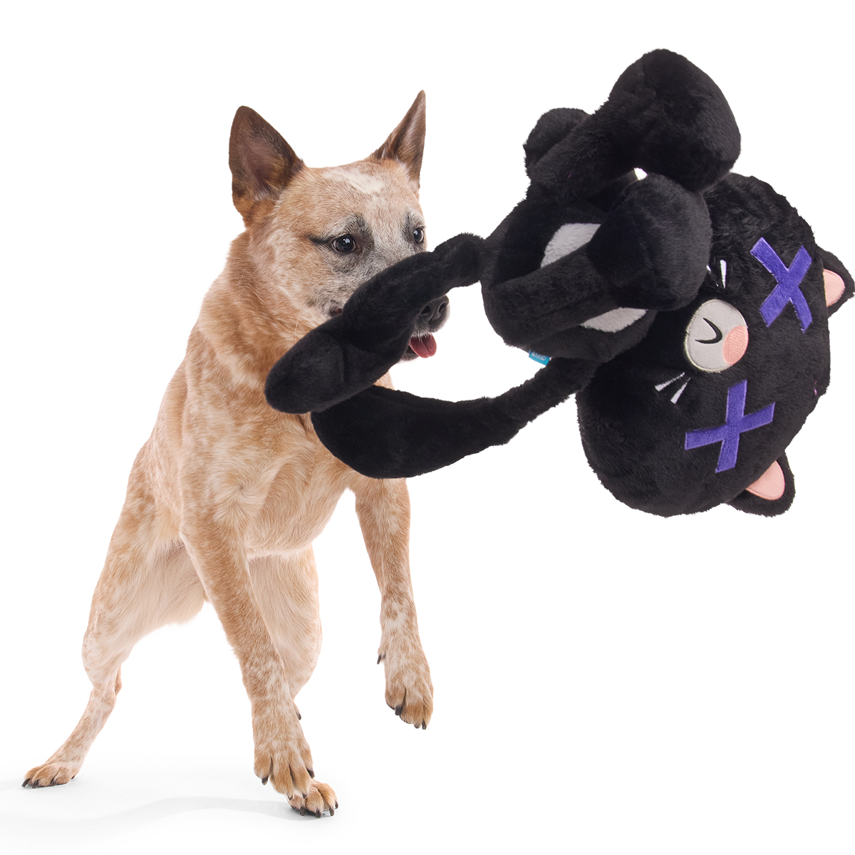 Kolossal Klaus Plush Extra-Large + Tug Dog Toy
