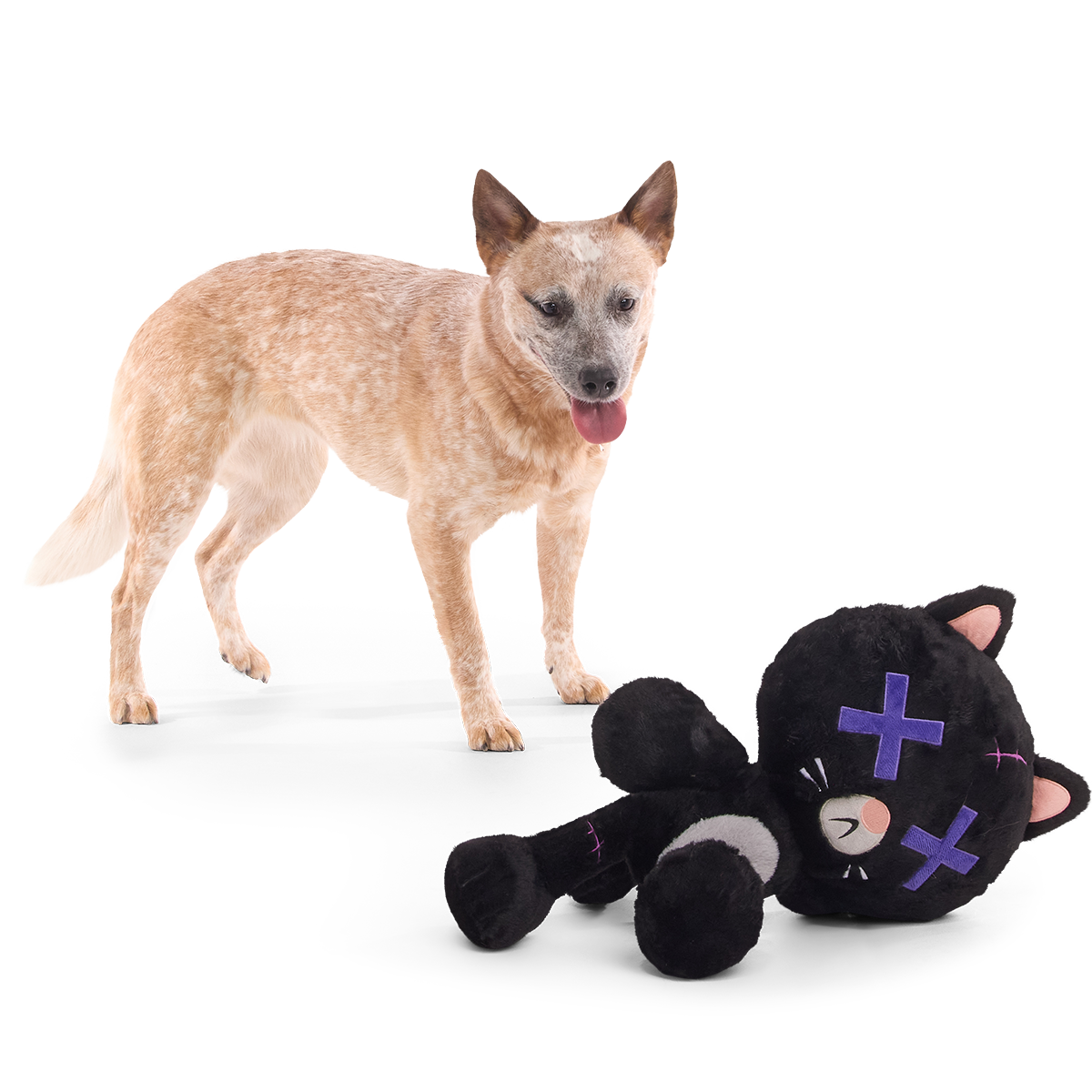 Kolossal Klaus Plush Extra-Large + Tug Dog Toy