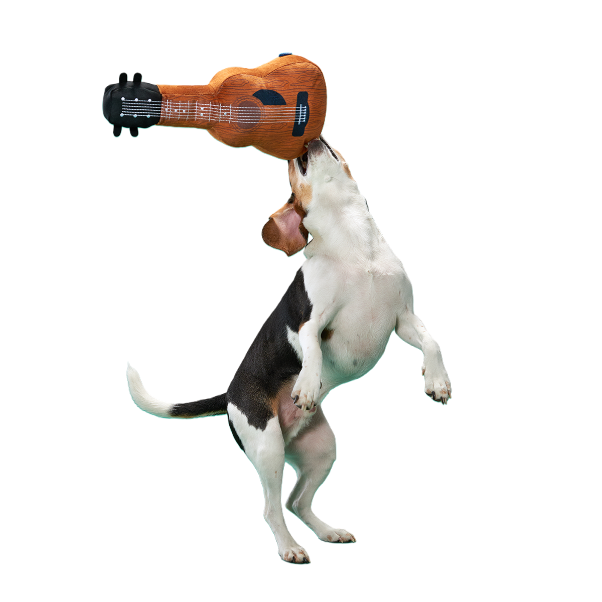 Kumbarkya Guitar Plush XXL Dog Toy