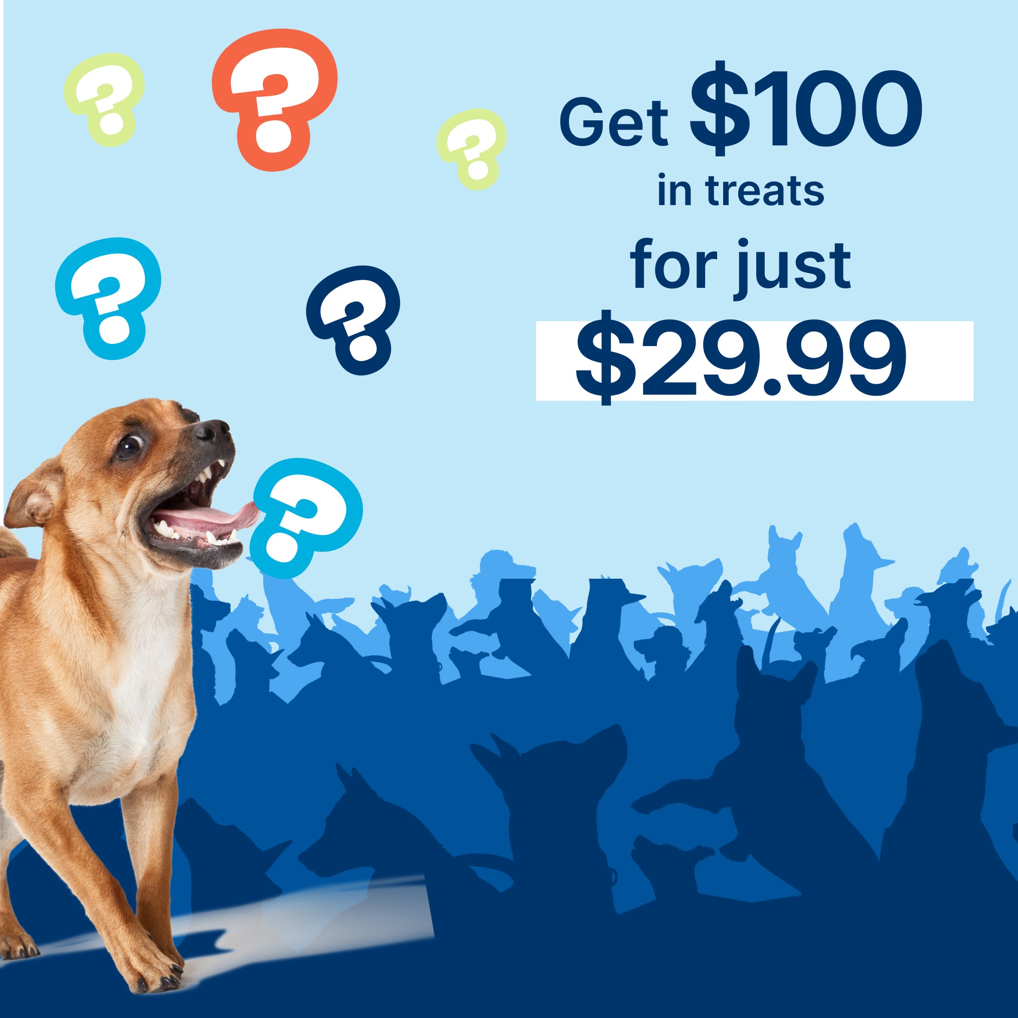 $100 Mystery Treat Bundle