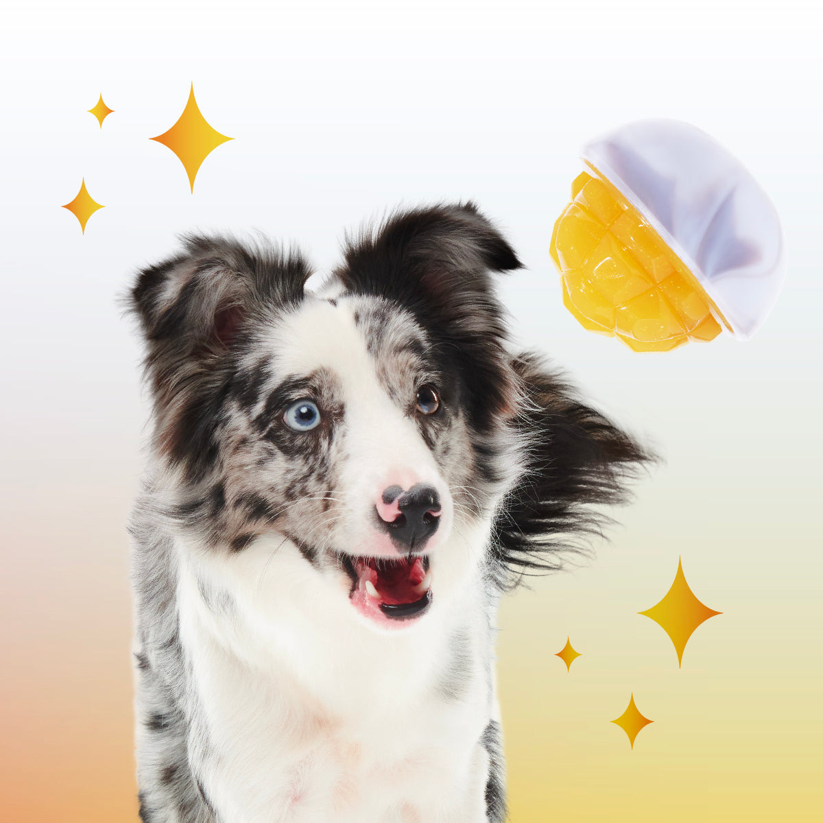Crystal of the Month Club, Super Chewer Durable Monthly Dog Toys