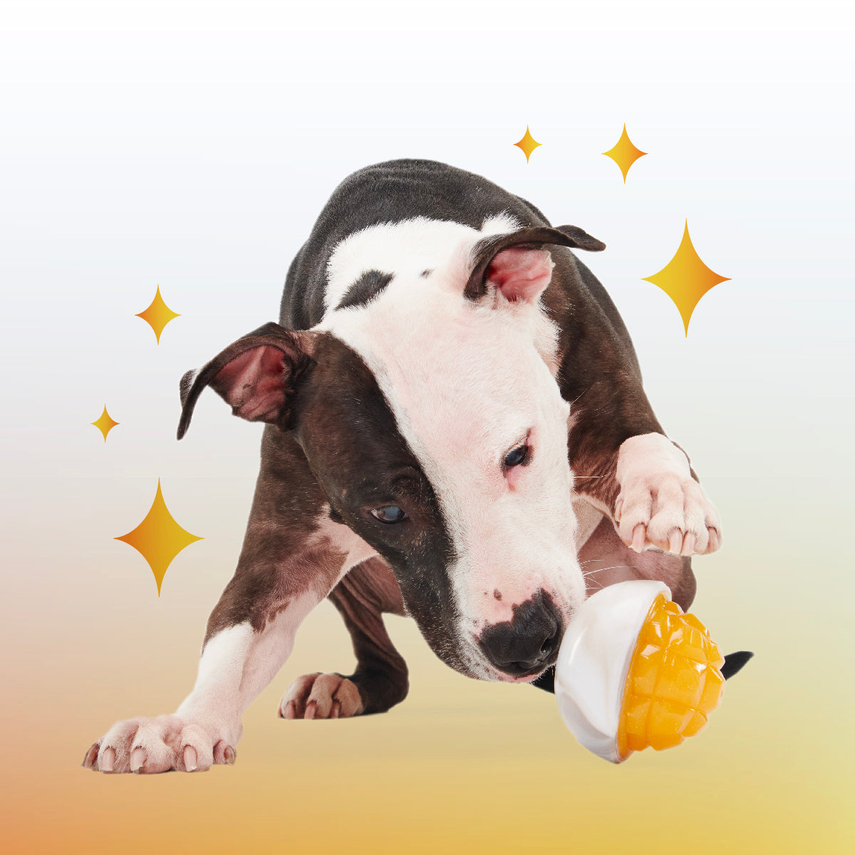 Crystal of the Month Club, Super Chewer Durable Monthly Dog Toys