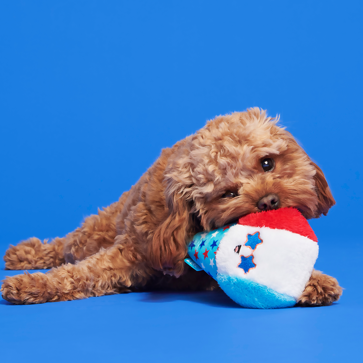 Liberty Cone Plush Fetch Dog Toy