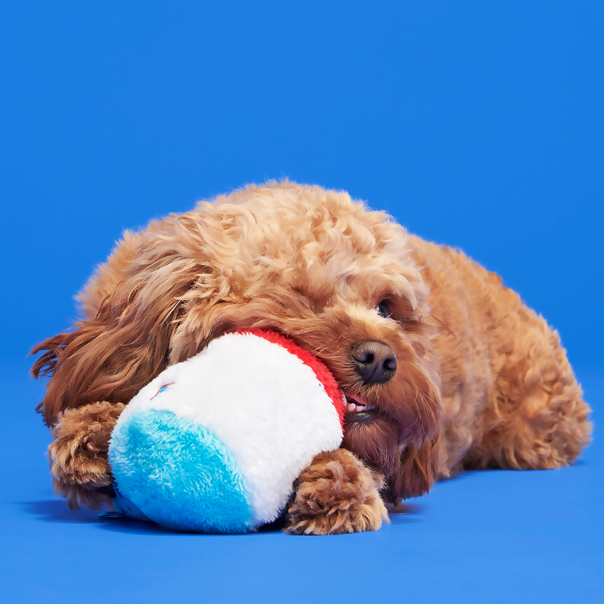 Liberty Cone Plush Fetch Dog Toy