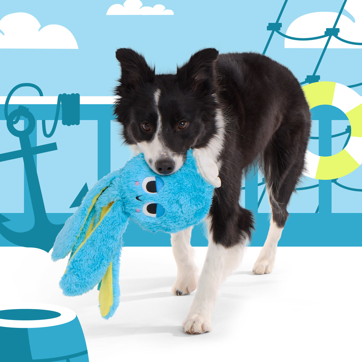 Aye, Aye, Ollie Plush Tug Dog Toy