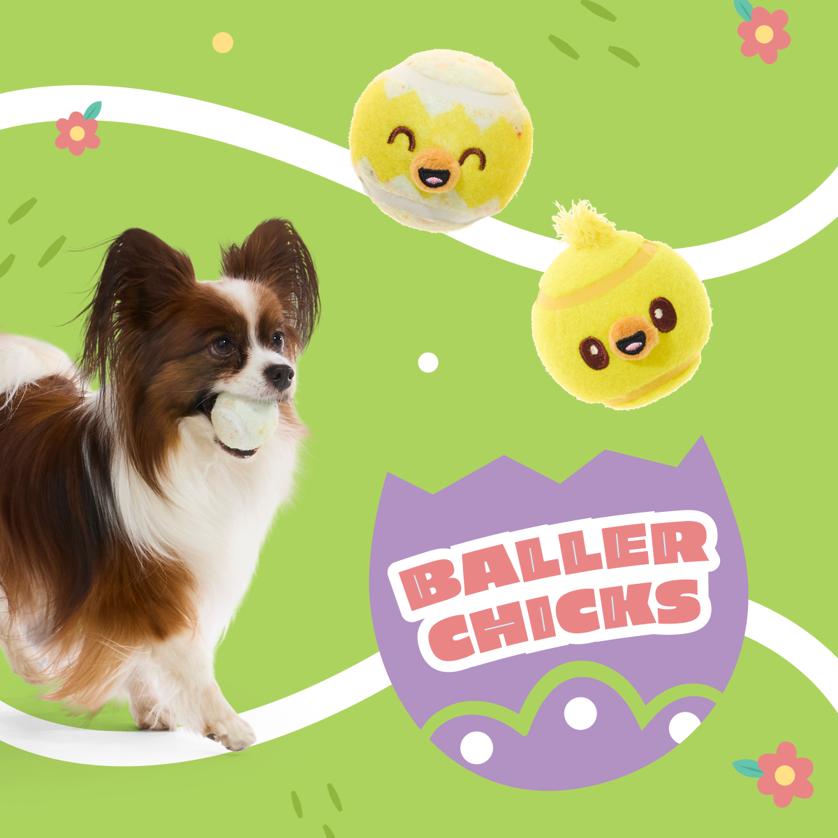 Tennis Ball Club, 3 Squeaky Monthly Tennis Ball Dog Toys