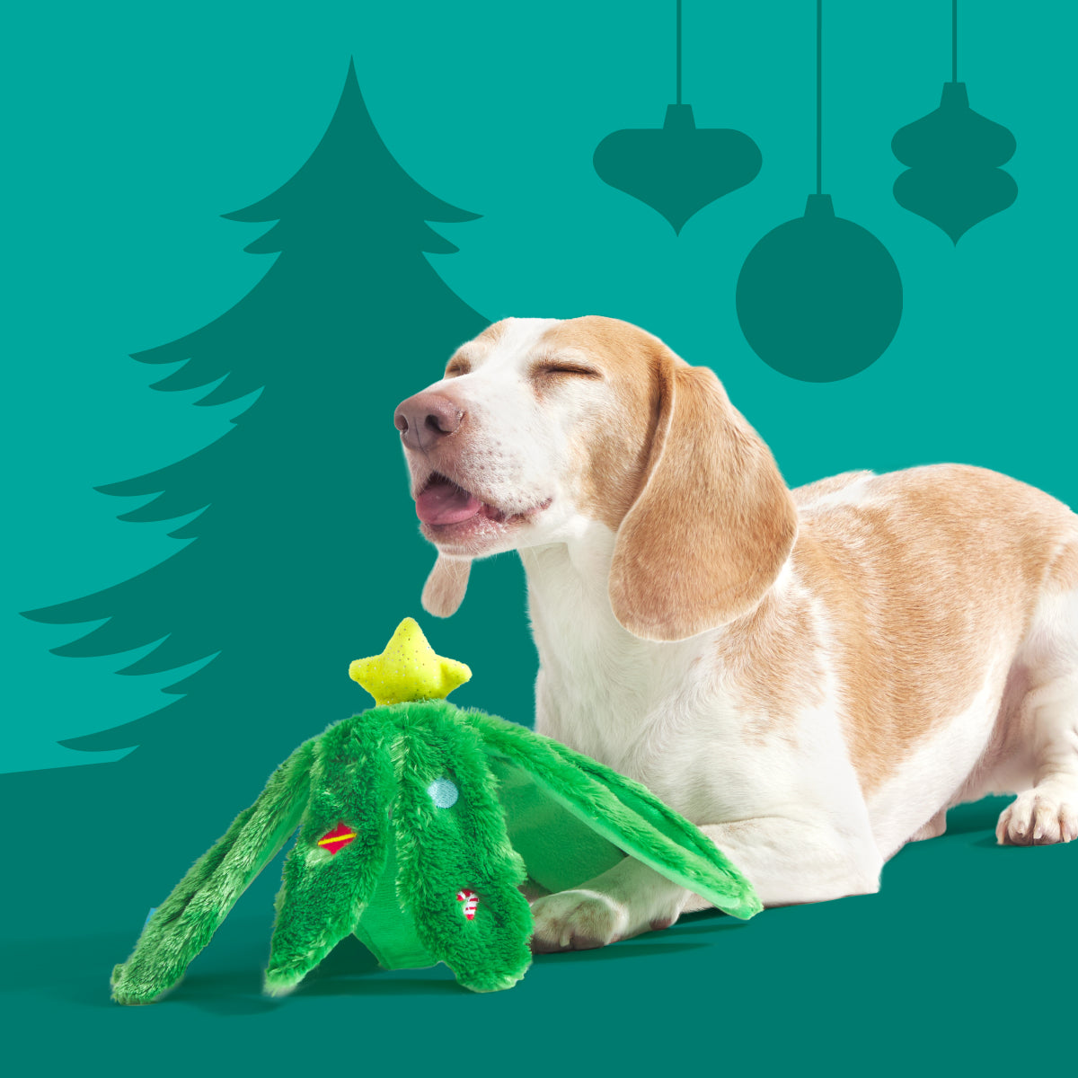 Christmas Best Sellers Dog Toy & Treat Holiday Gift Box