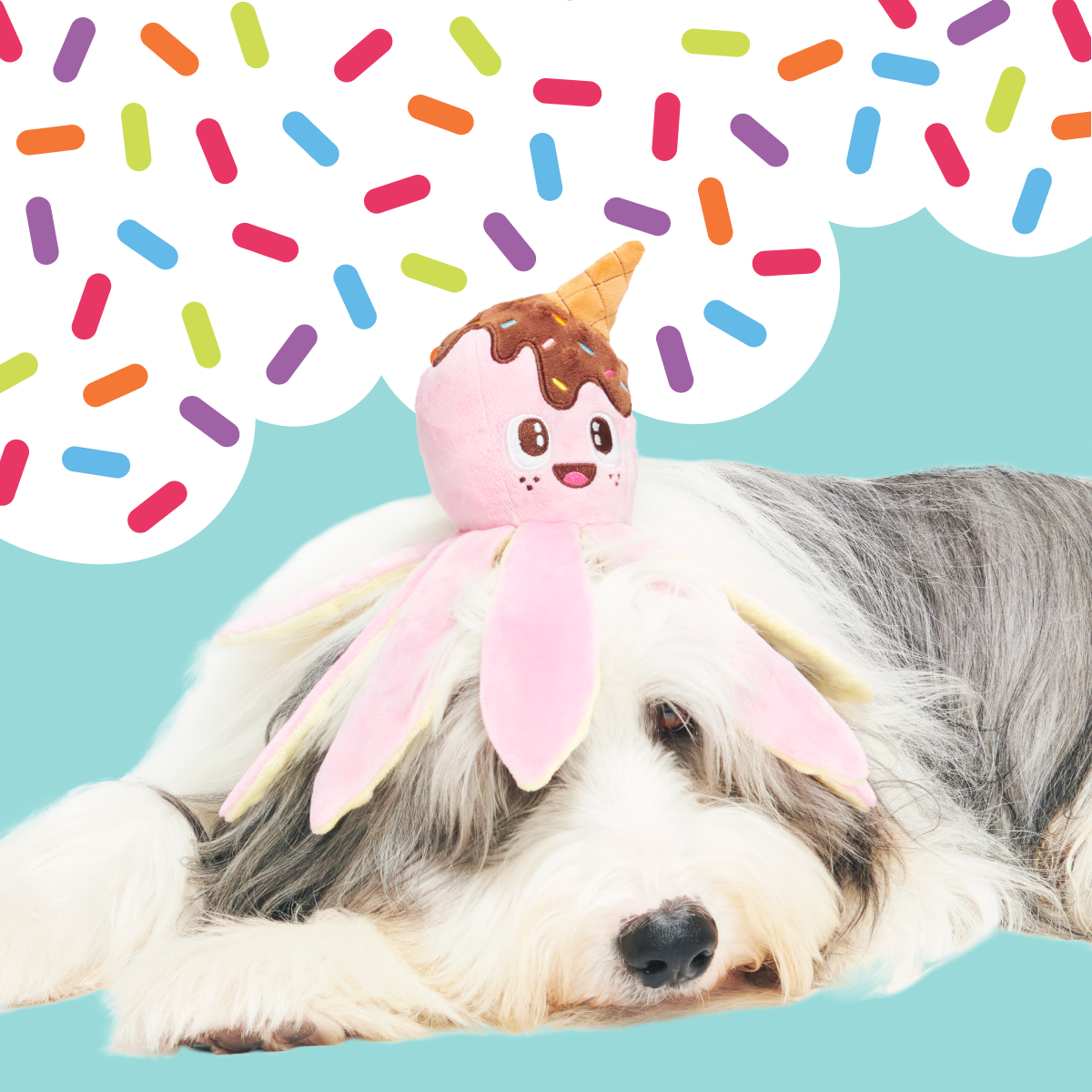 Ollie the Octopus Club, Plush Tug Monthly Dog Toys