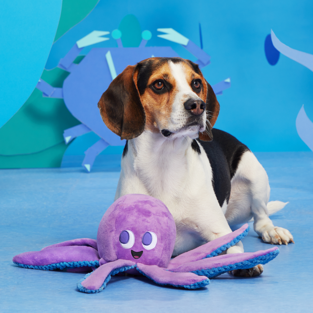 Ollie the Octopus Club, Plush Tug Monthly Dog Toys