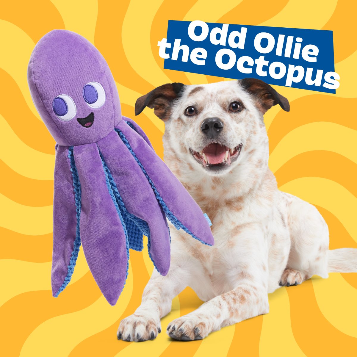 Ollie the Octopus Club, Plush Tug Monthly Dog Toys