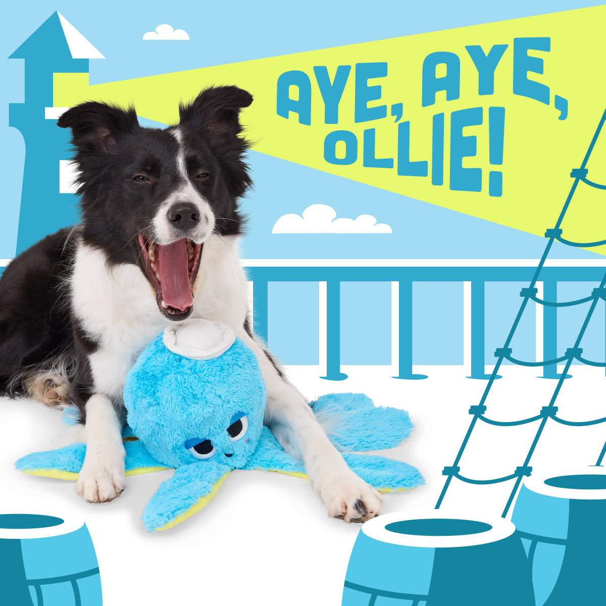 Aye, Aye, Ollie Plush Tug Dog Toy