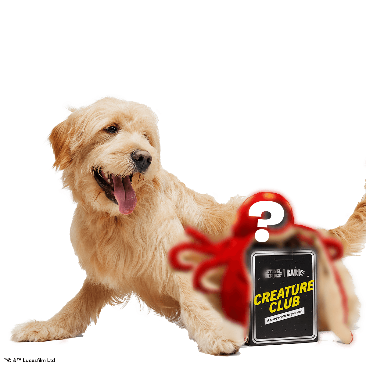 Star Wars™ Creature Club, Plush Monthly Dog Toys