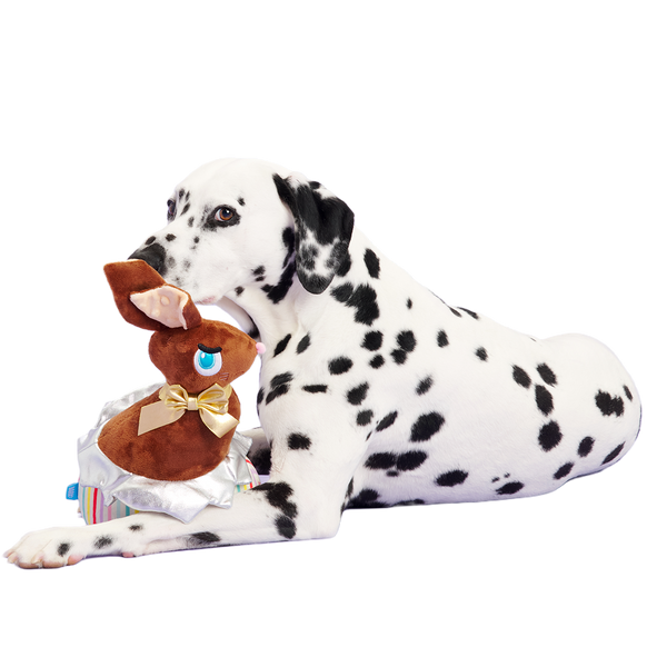 Lil Bunny Chew Chew Plush Extra-Large Dog Toy – BARK