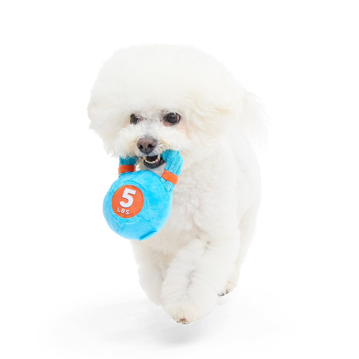 Lil’ Kennelbell Plush Tug Dog Toy
