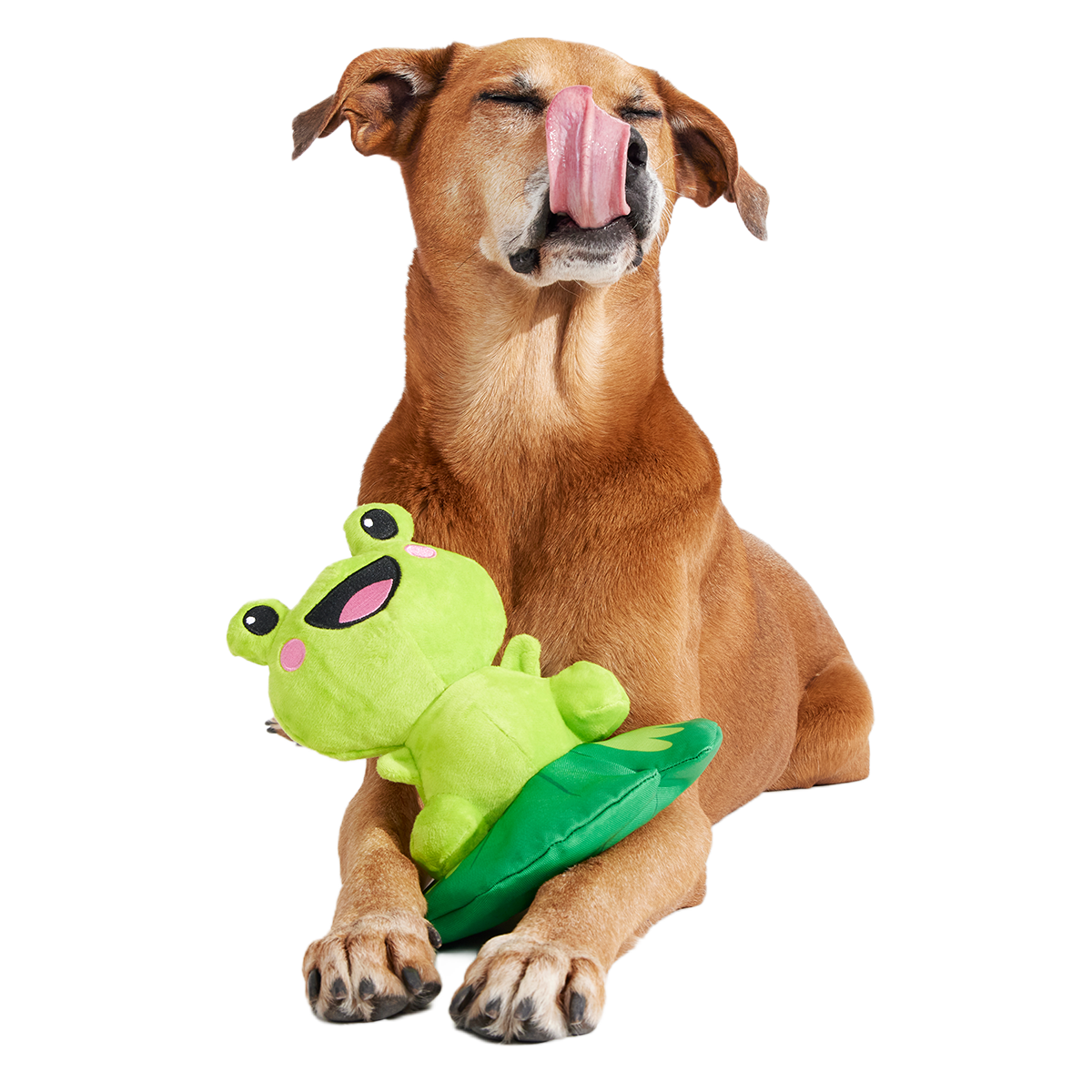 Lily Pal Plush Tug Dog Toy
