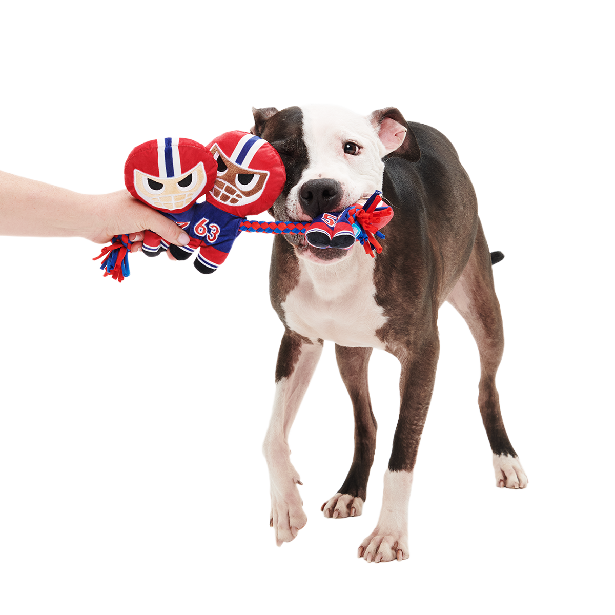 Linebarkers Plush Tug Dog Toy