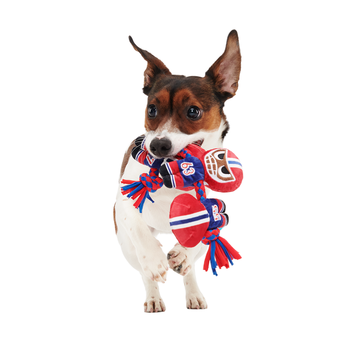 Linebarkers Plush Tug Dog Toy