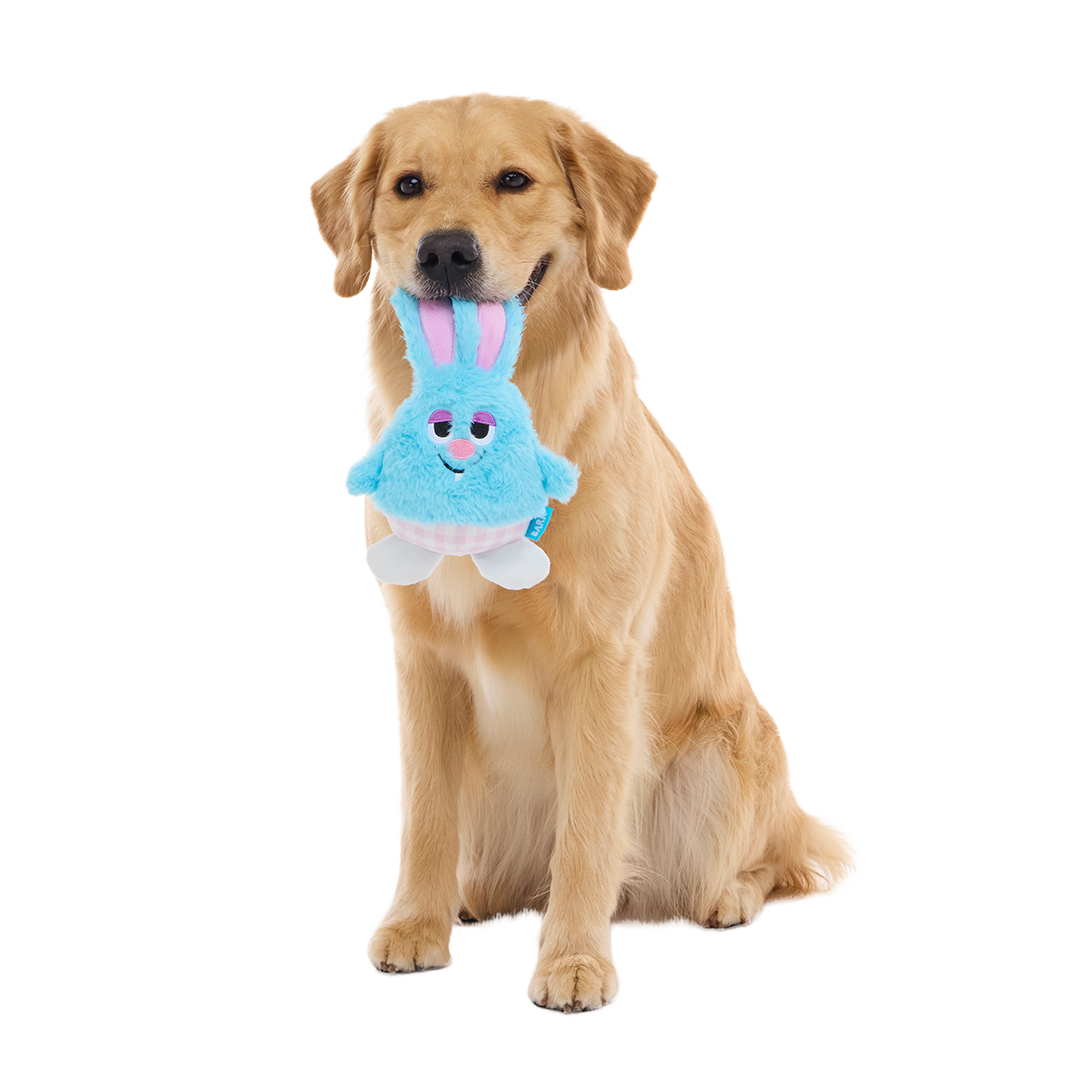 Little Bun Blue Plush Tug Dog Toy