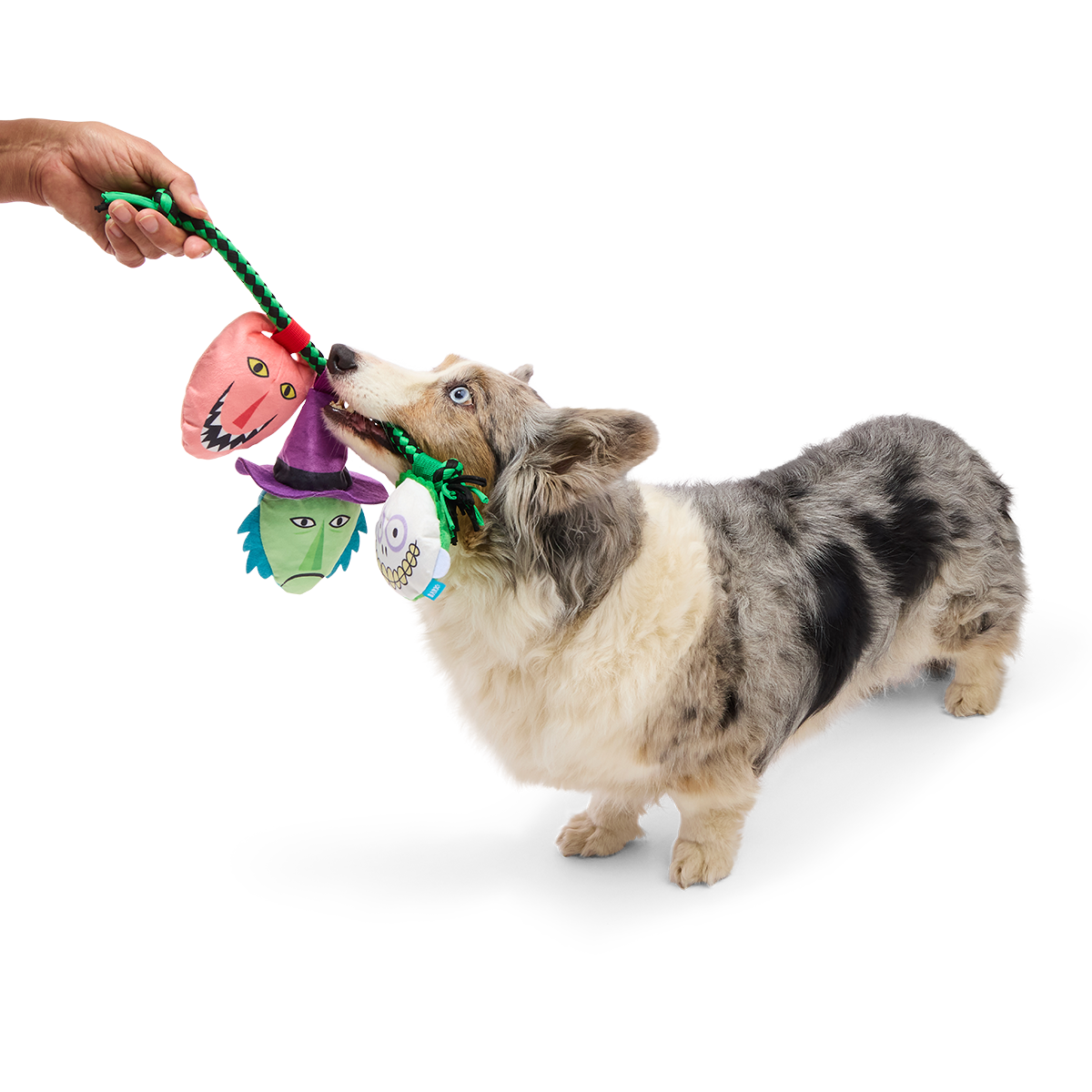 Lock, Shock, and Barrel Buddies Plush Extra-Large + Tug Dog Toy