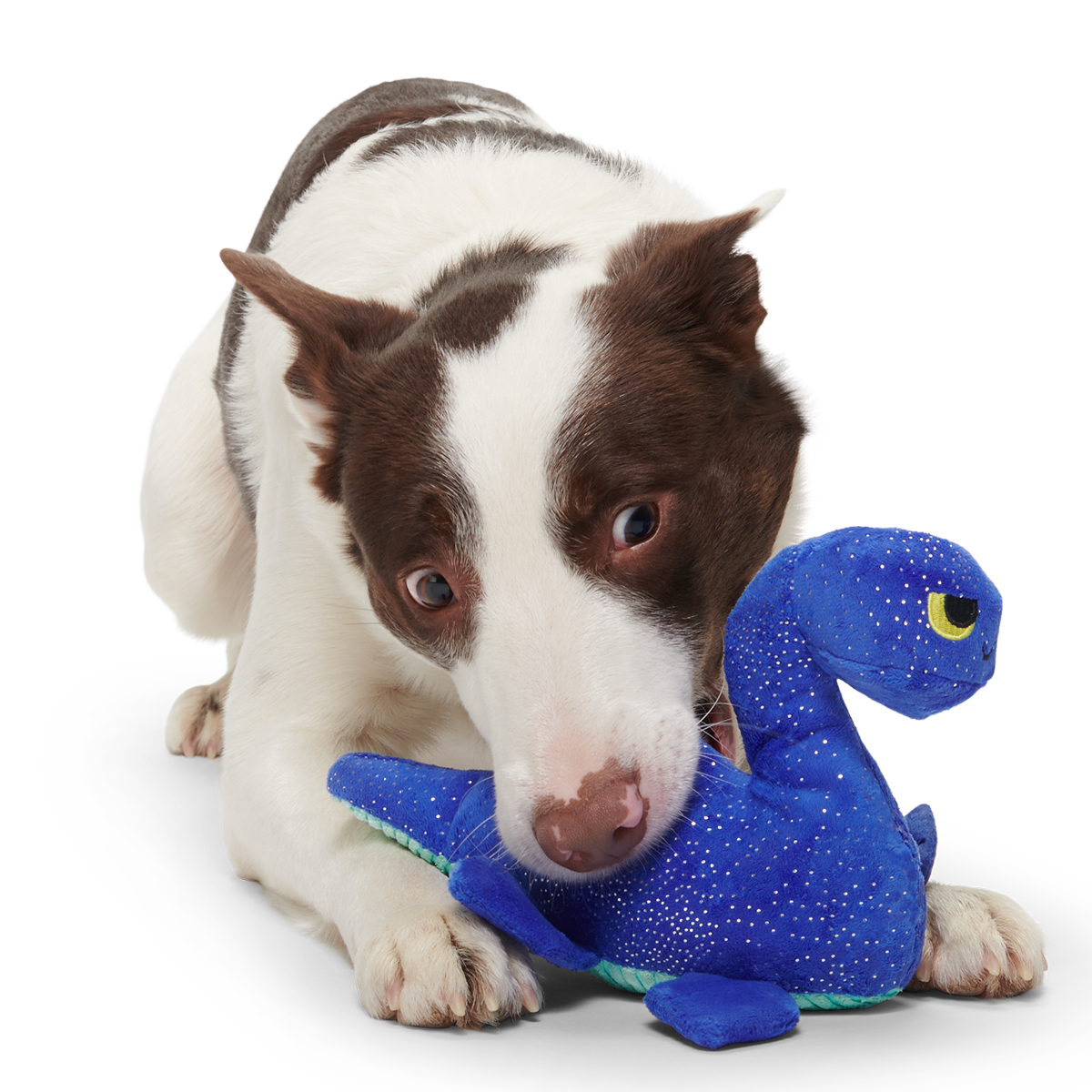Luke Ness Monster Plush Tug Dog Toy