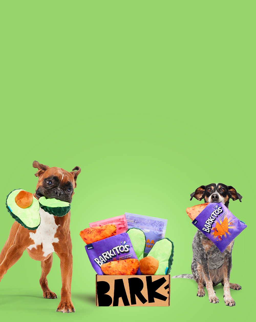 Barkbox Flyer BARK: Shop BarkBox, Food, Toppers, Treats, Dental, Toys and more!
