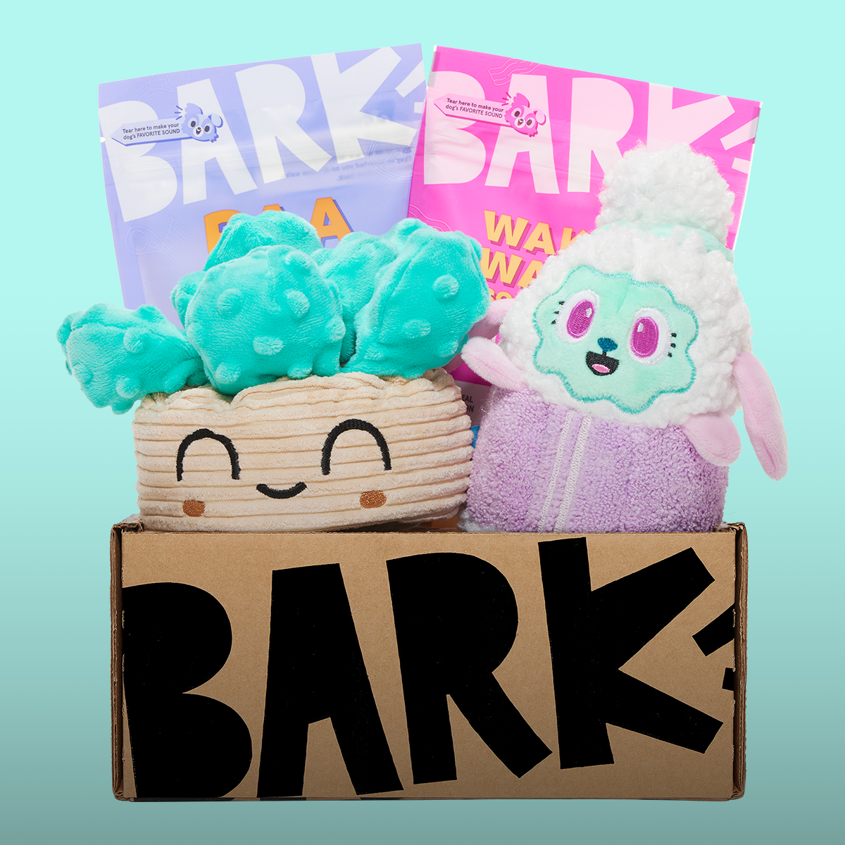 BARK, Company Behind BarkBox, Announces CEO Succession