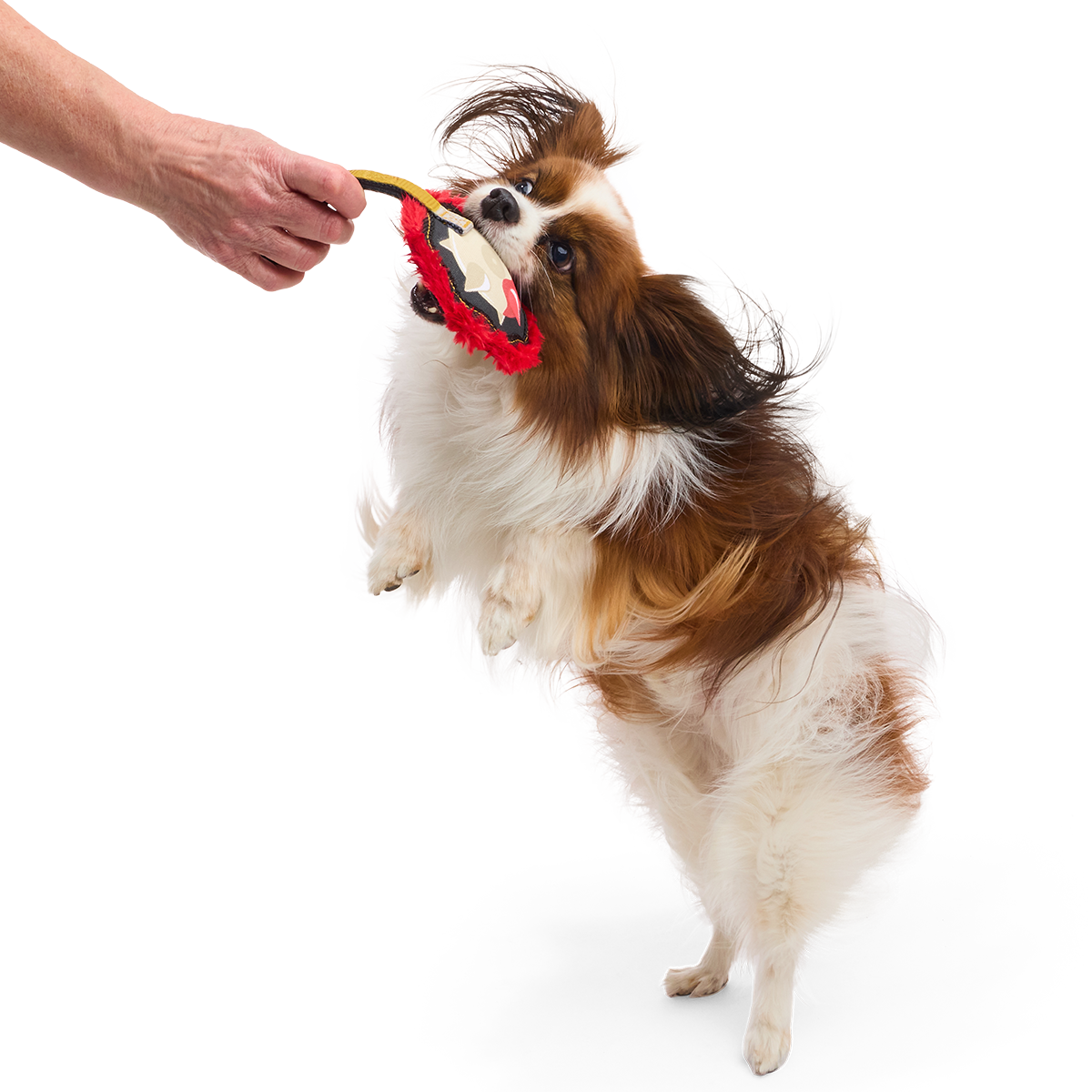 Mace of Spades Super Chewer Durable Tug Dog Toy