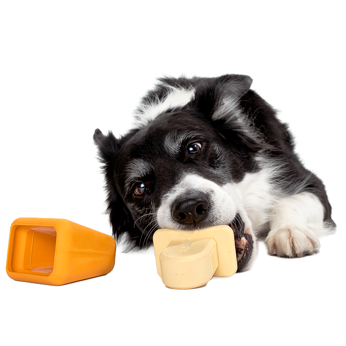 Make n' Munch Pupsicle Kit Super Chewer Durable Multi-Part Dog Toy