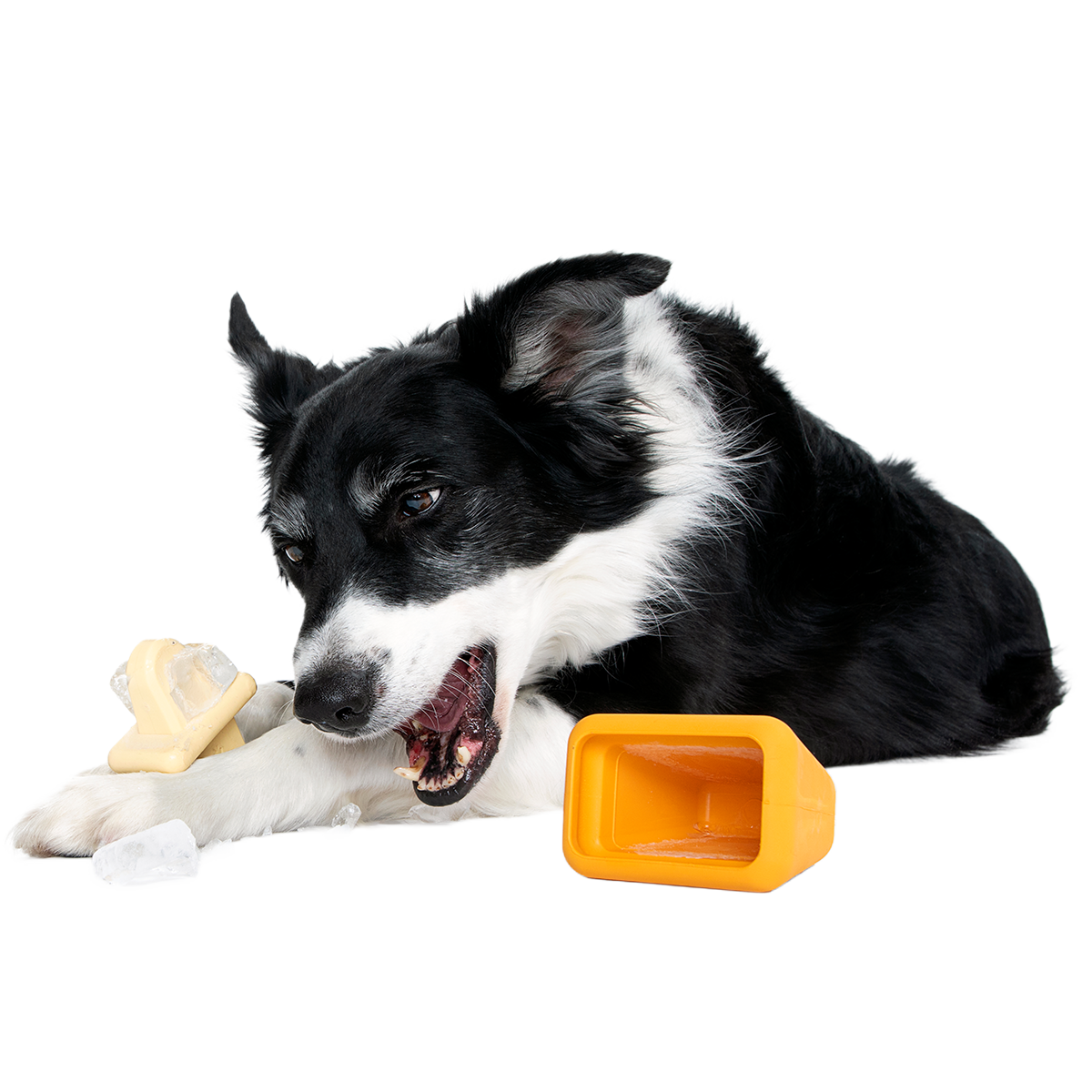 Make n' Munch Pupsicle Kit Super Chewer Durable Multi-Part Dog Toy