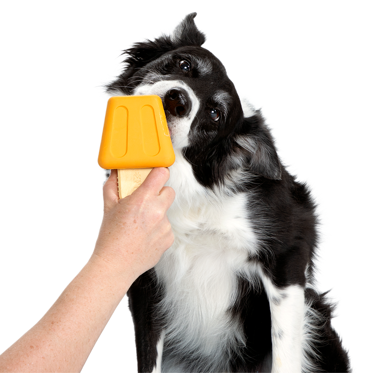 Make n' Munch Pupsicle Kit Super Chewer Durable Multi-Part Dog Toy