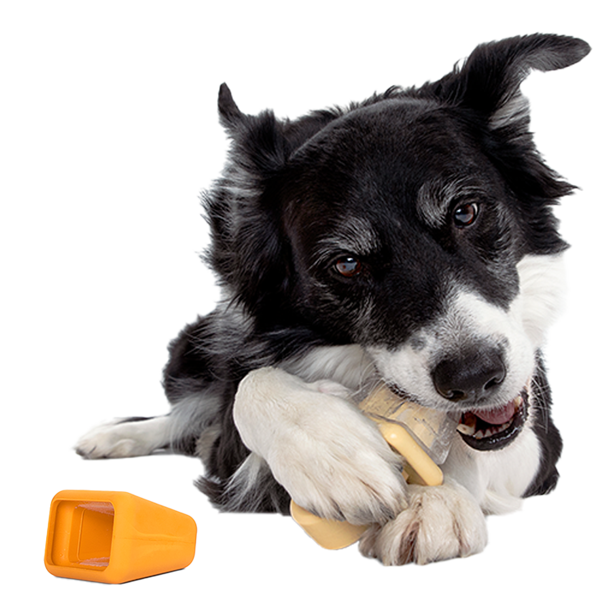 Make n' Munch Pupsicle Kit Super Chewer Durable Multi-Part Dog Toy