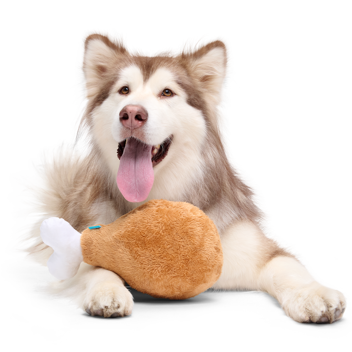 Extra-Large Toy Club, Monthly Plush XL Dog Toys