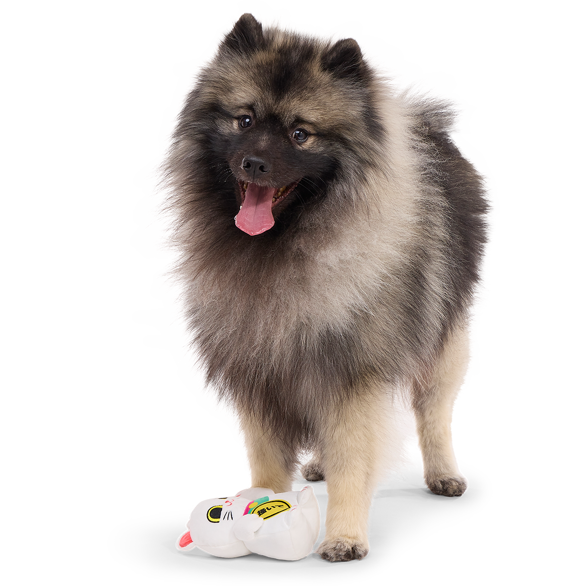 Maneki Mariko Plush Tug Dog Toy