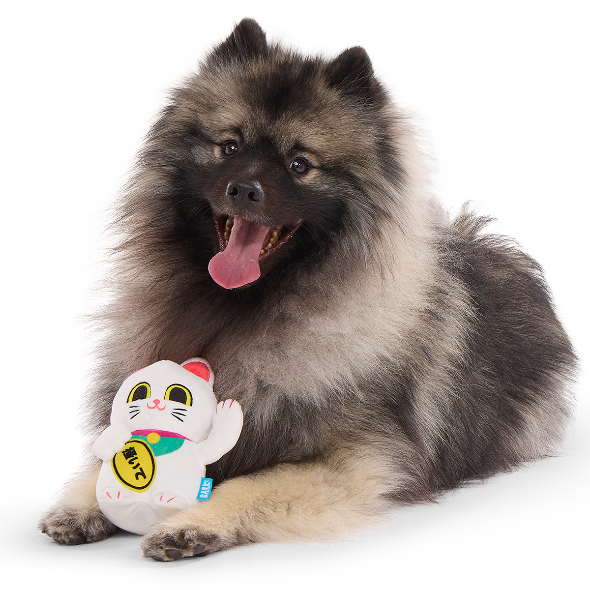 Maneki Mariko Plush Tug Dog Toy