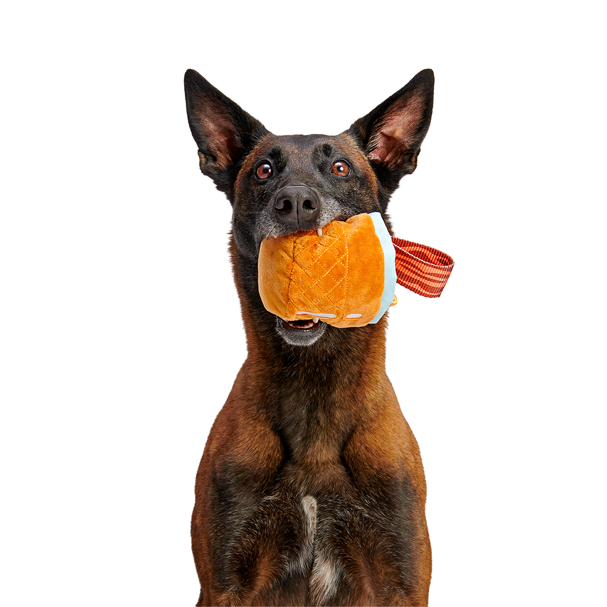 Cocktail Club, Plush Cocktail Monthly Dog Toys