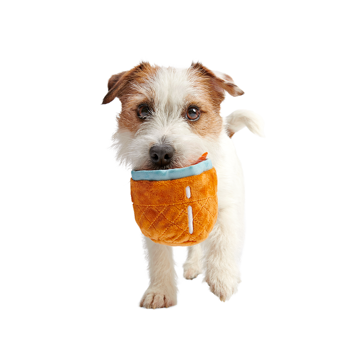 Cocktail Club, Plush Cocktail Monthly Dog Toys
