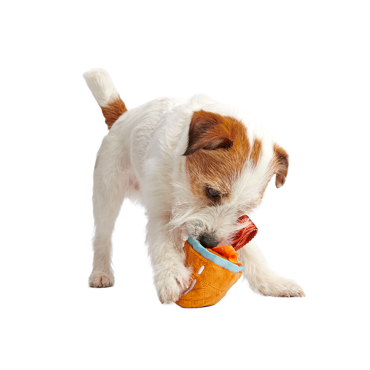 Cocktail Club, Plush Cocktail Monthly Dog Toys
