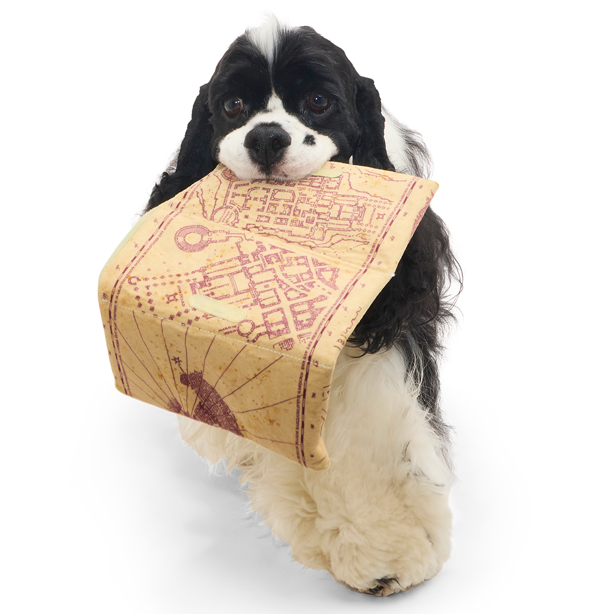 Marauder’s Map™ Plush Tug Dog Toy