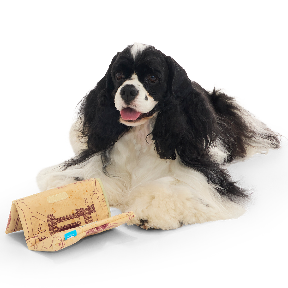 Marauder’s Map™ Plush Tug Dog Toy