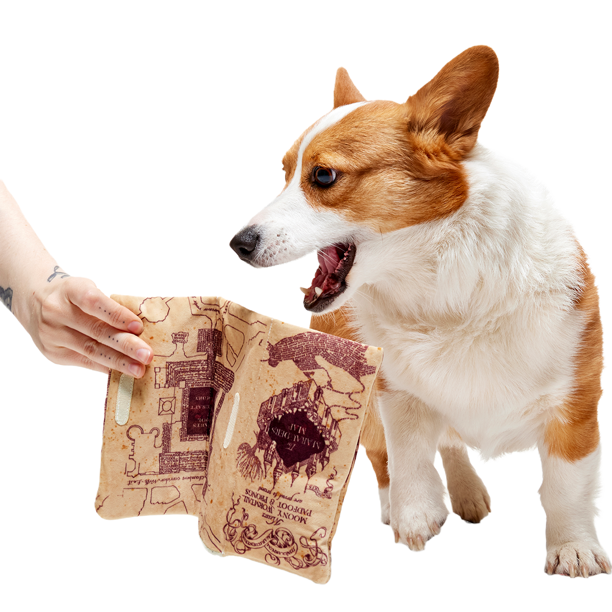 Marauder’s Map™ Plush Tug Dog Toy