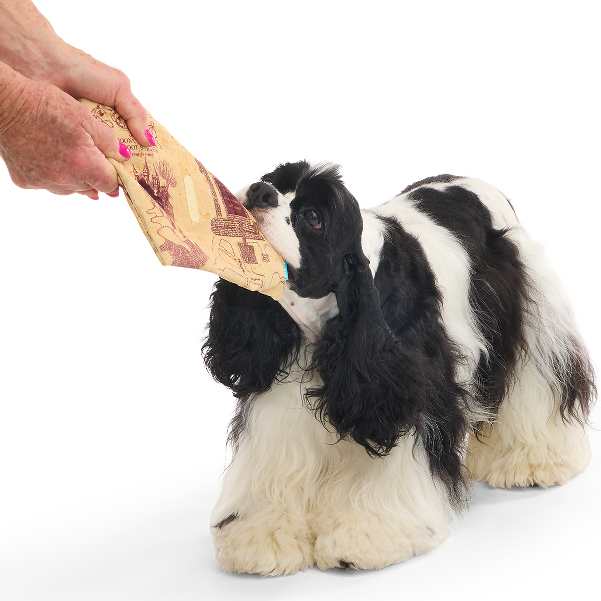 HARRY POTTER™ Plush Multi-Part Dog Toy Bundle