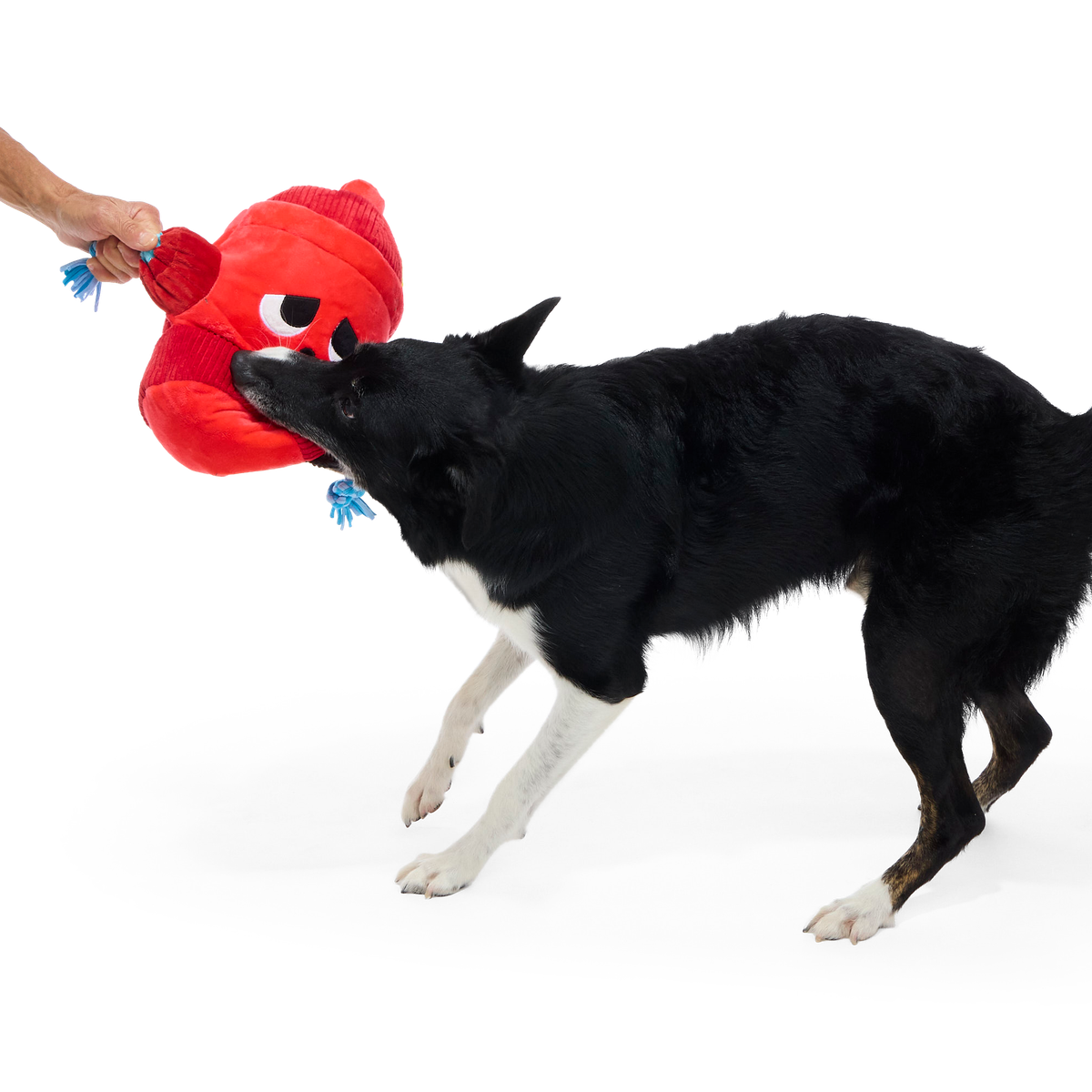 Marky Mark Plush Extra-Large Tug Dog Toy