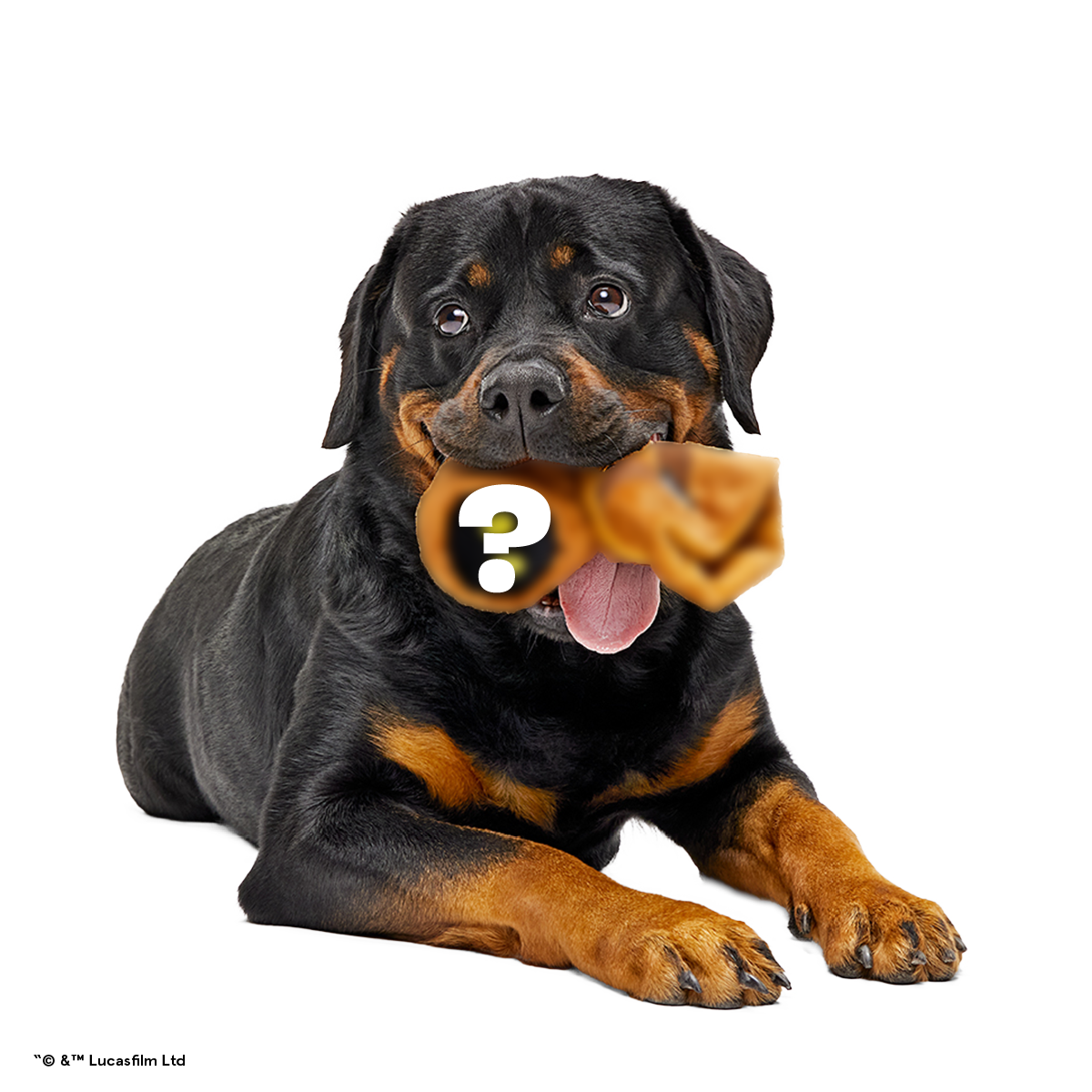 Star Wars™ Droid Smugglers Club