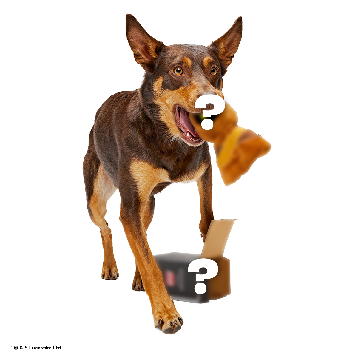 Star Wars™ Droid Smugglers Club