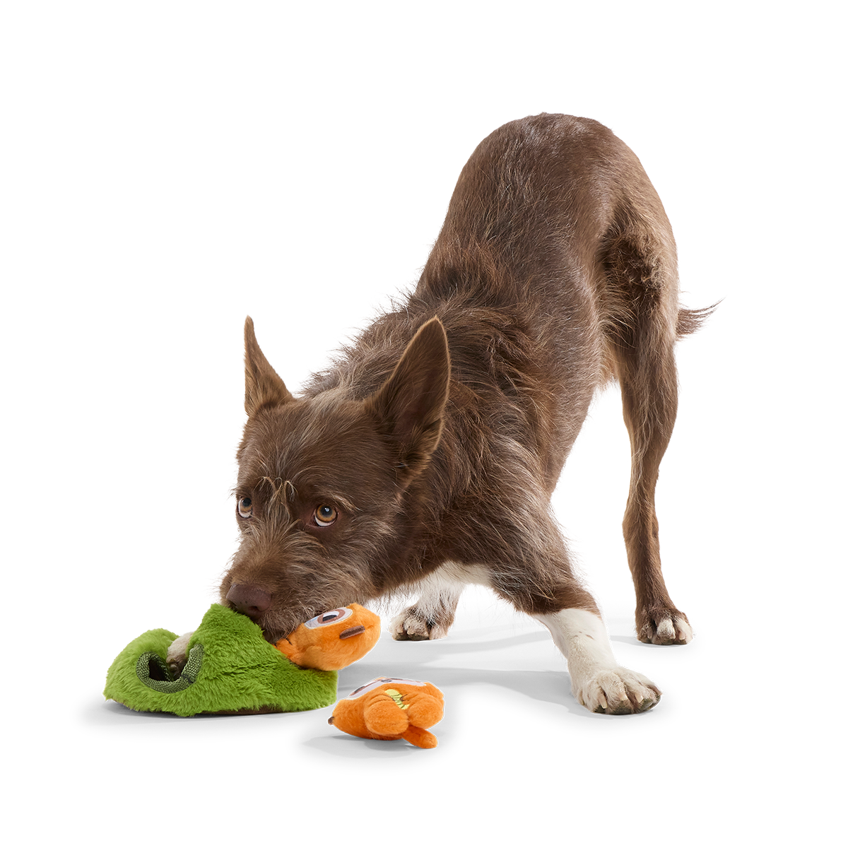 Mchanga & Mwanga Meerkat Plush Multi-Part + Enrichment Dog Toy