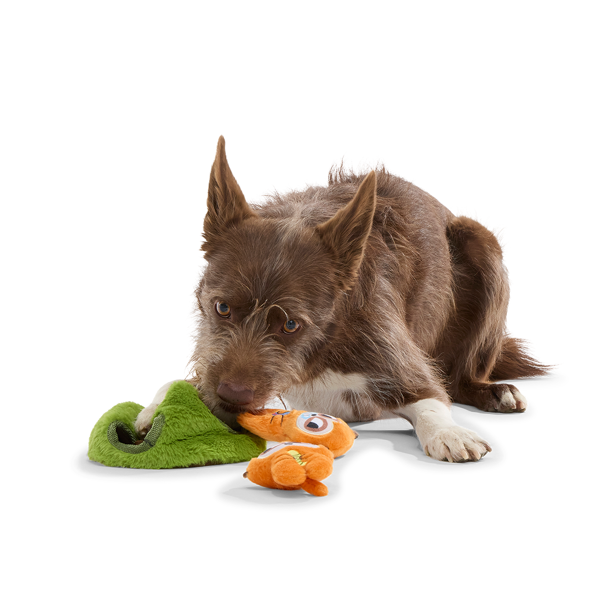 Mchanga & Mwanga Meerkat Plush Multi-Part + Enrichment Dog Toy