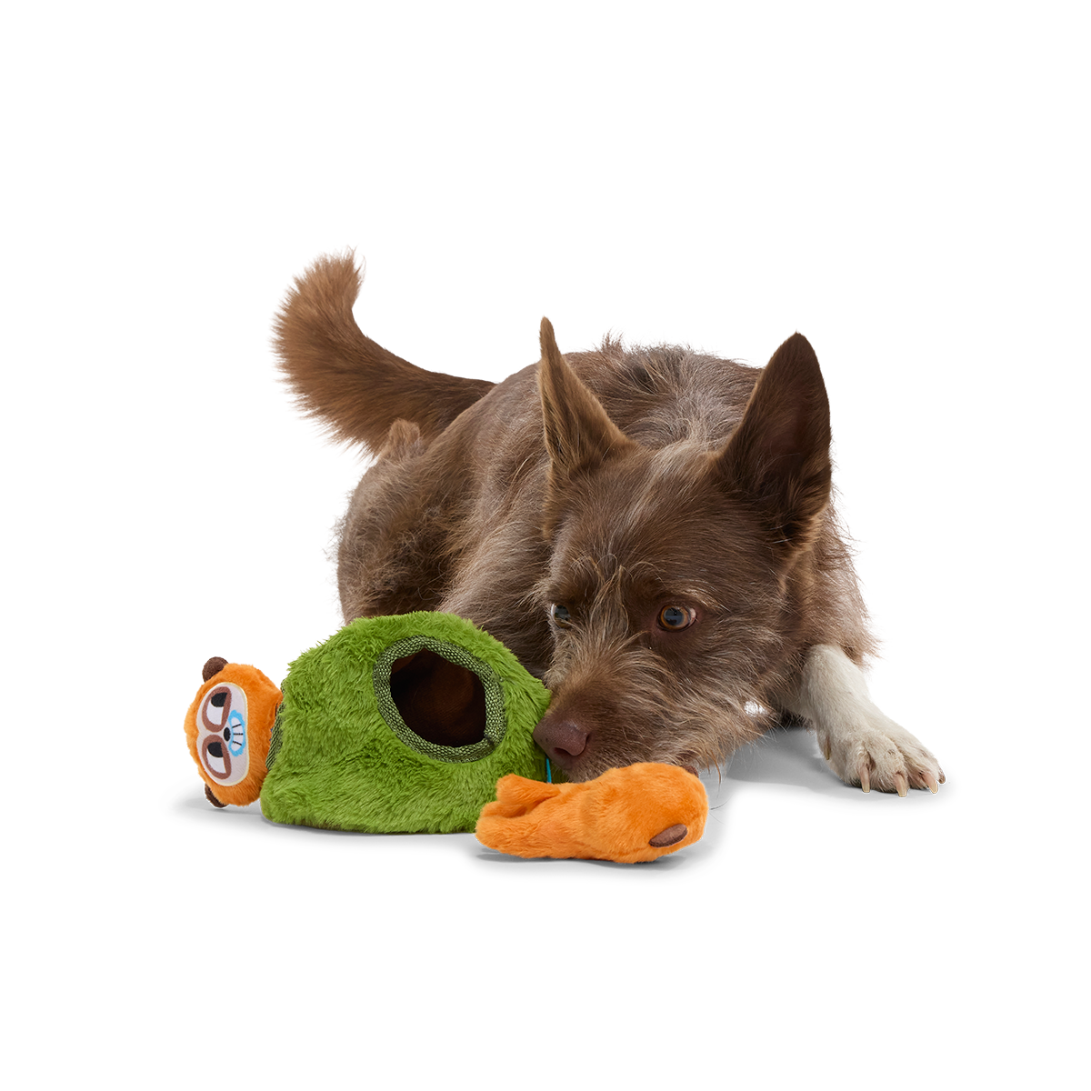 Mchanga & Mwanga Meerkat Plush Multi-Part + Enrichment Dog Toy
