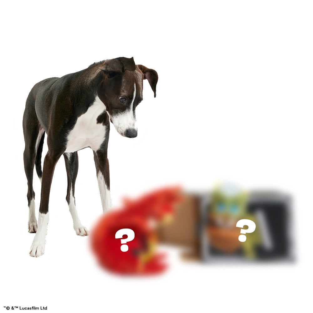 Star Wars™ Creature Club, Plush Monthly Dog Toys