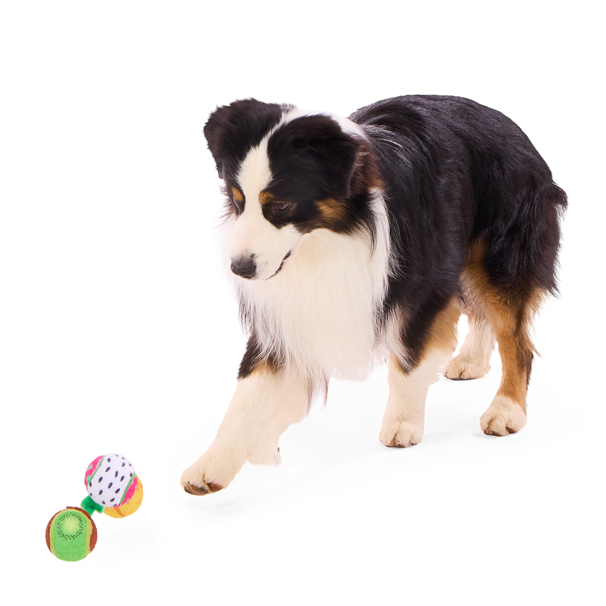 Tennis Ball Club, 3 Squeaky Monthly Tennis Ball Dog Toys
