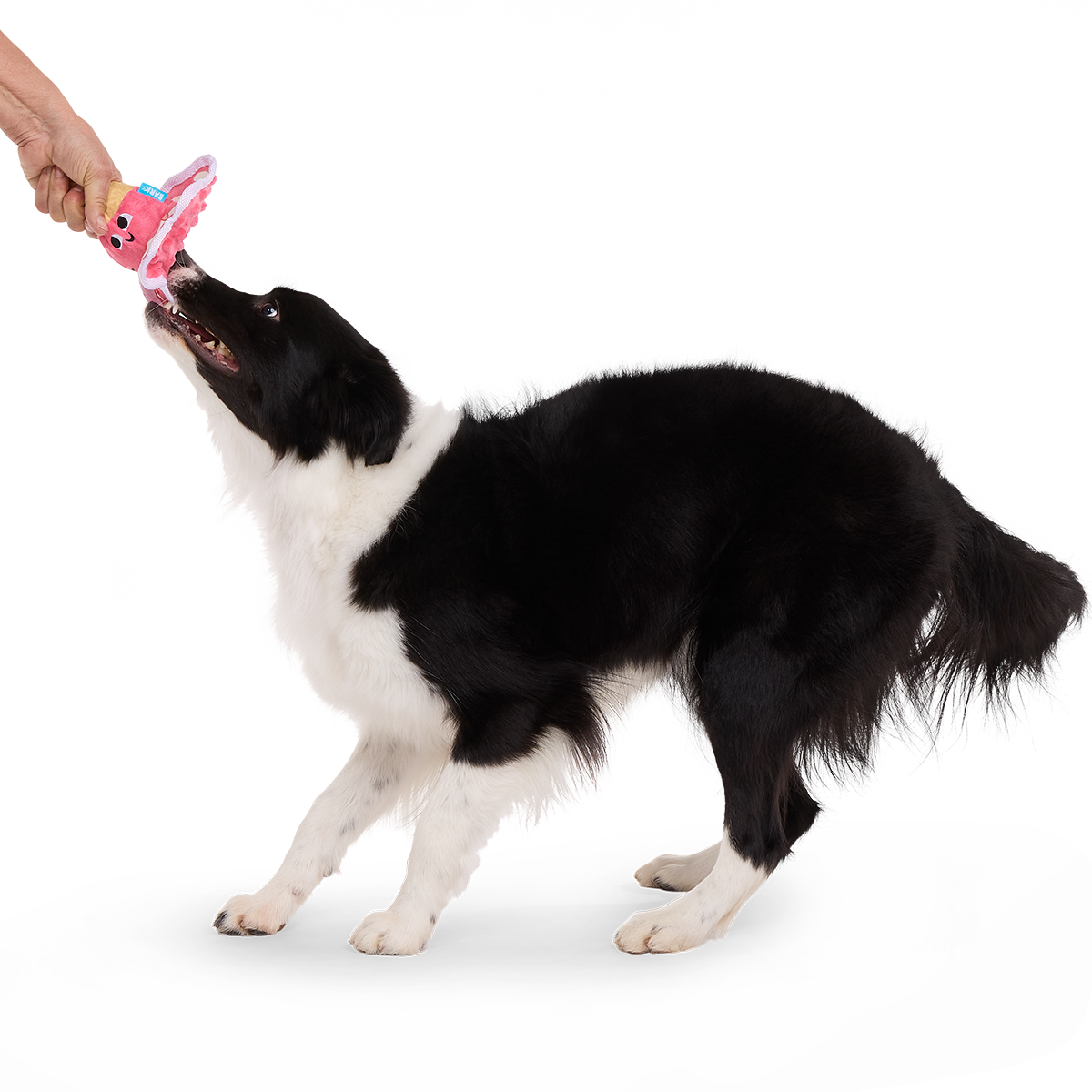 Melted Melanie Plush Tug Dog Toy